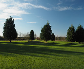 Photo Gellery of Golf Course