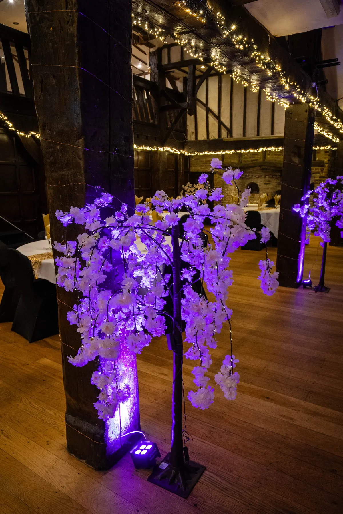 A blossom tree lit purple in the Baronial Hall