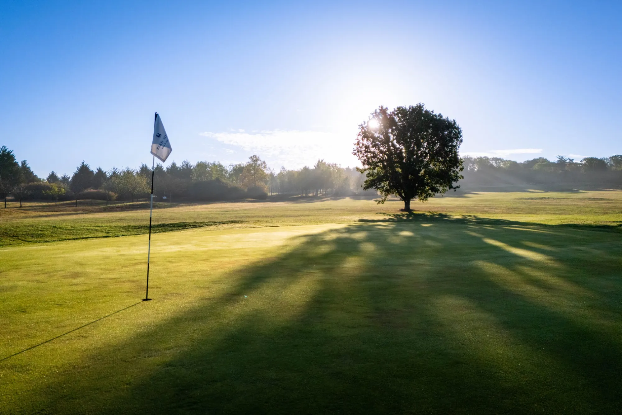 The Bird Hills flag on a green at sunrise, a lone oak casting long shadows across the grass