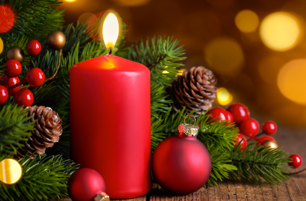 Celebrate Christmas at Bird Hills