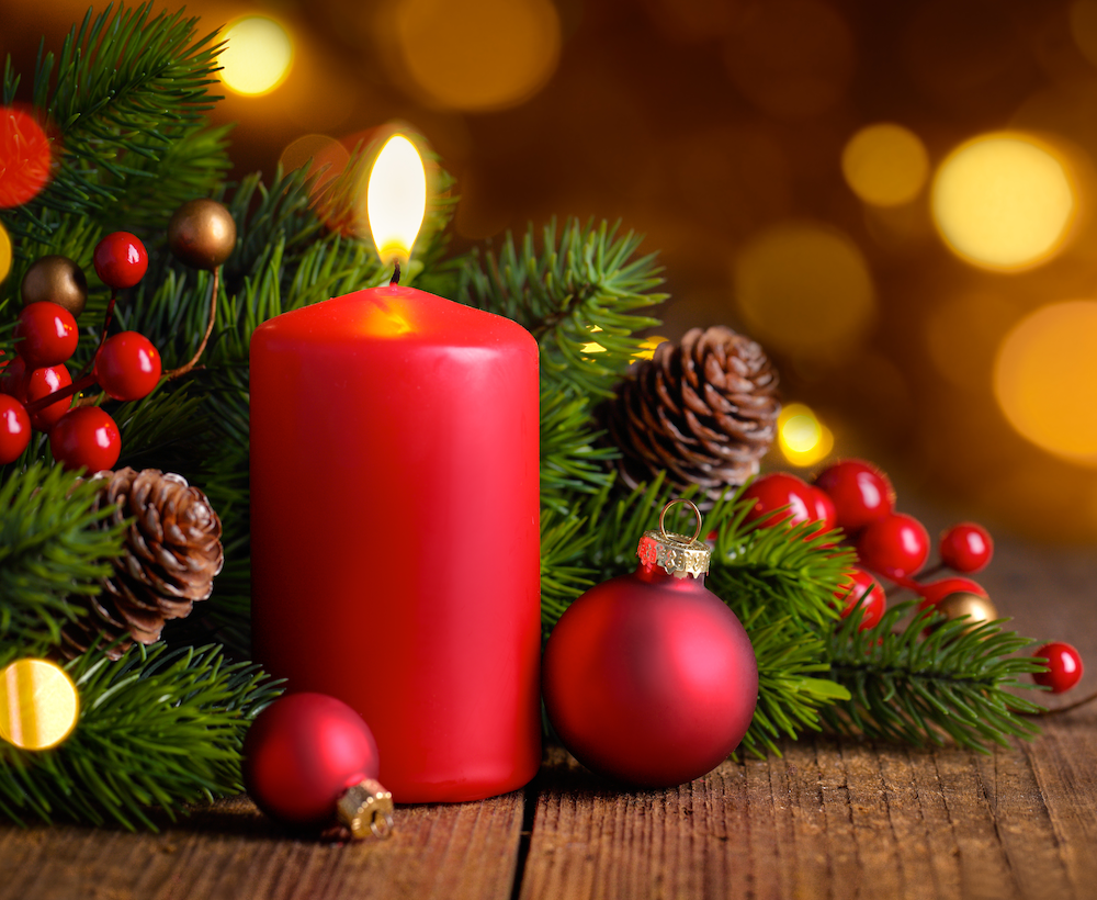 Celebrate Christmas at Bird Hills